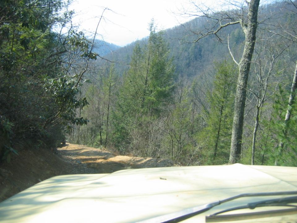 View from inside a vehicle looking out at a dirt road in a forest