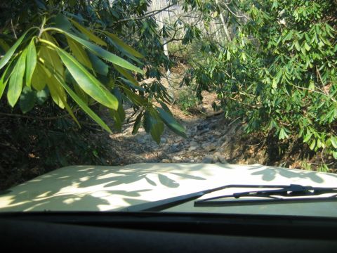 1992 Ford Mustang - Driving through a rocky, wooded area, the hood and wipers of the vehicle are visible.