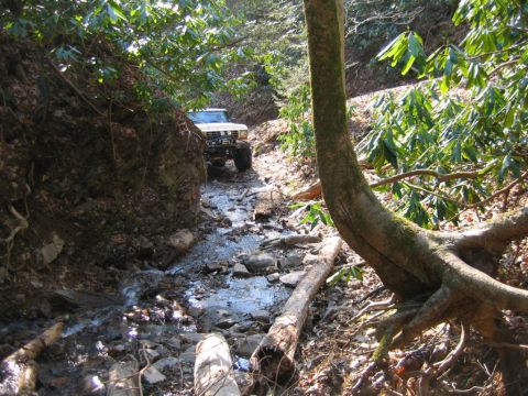 1992 Ford Mustang - A vehicle drives through a shallow stream on a wooded trail, with rocks and fallen logs obstructing the path.