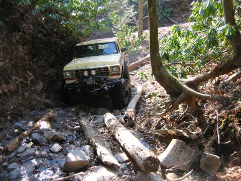 1992 Ford Mustang - Ford F-Series truck tackling a challenging off-road path with fallen logs and rocks.