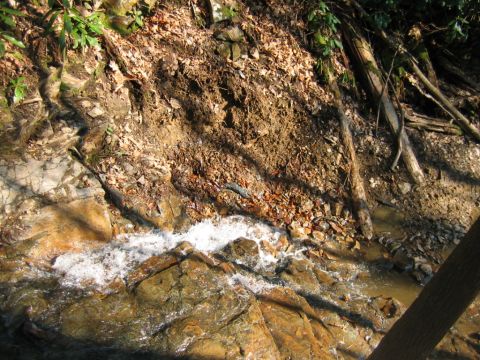 1992 Ford Mustang - A small stream cascades over rocks in a natural setting, surrounded by trees and foliage.
