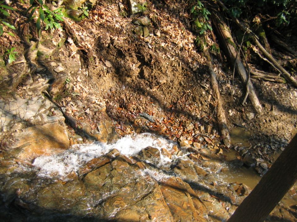 Water flowing over rocks in a wooded area with fallen leaves and branches