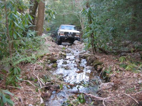 1992 Ford Mustang - A white off-road vehicle navigates a challenging stream bed surrounded by dense forest foliage.