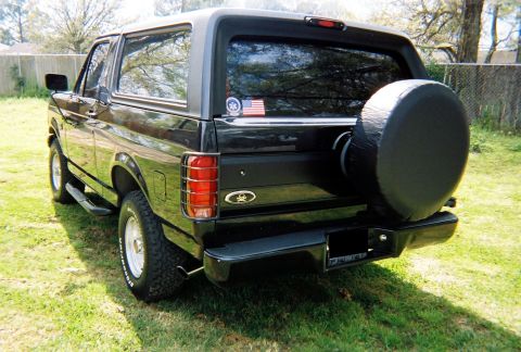 1993 Ford Bronco - Just one more skull, in case you missed the first one...