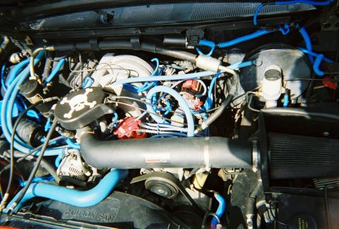 1993 Ford Bronco - Customized engine bay bright blue hoses and a unique skull cap on the distributor.