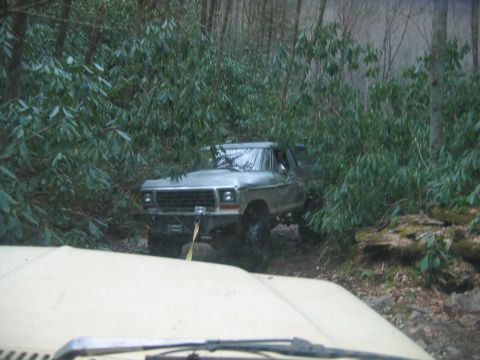 1992 Ford Mustang - A silver Ford F-Series truck is navigating a dense wooded area off-road, partially obscured by foliage.