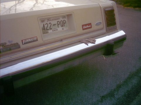 1985 Ford Crown Victoria LTD - A hand rests on the chrome bumper of a vintage sedan, partially obscuring the license plate and various aftermarket stickers.