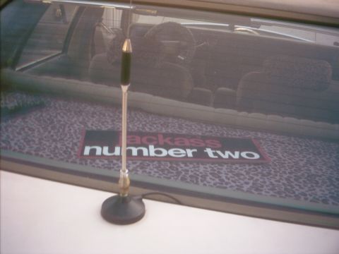 1985 Ford Crown Victoria LTD - The rear interior of a car is visible, a leopard print dash mat and a "Jackass Number Two" sticker on the back window.