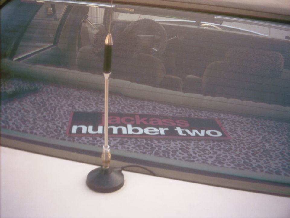 Rear interior view of car with leopard print dash mat and "Jackass Number Two" sticker