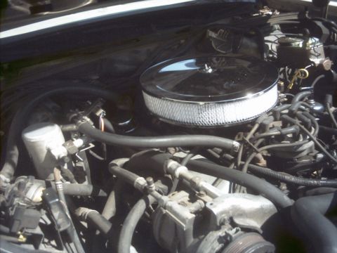 1985 Ford Crown Victoria LTD - The engine bay of a 1985 Ford Crown Victoria LTD is shown with a chrome air filter and various hoses and components.