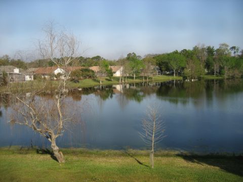 1986 Ford Bronco - A calm lake reflects the surrounding houses and trees on a clear day.