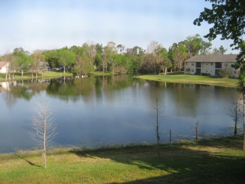 1986 Ford Bronco - A calm lake reflects the surrounding trees and buildings under a clear sky.