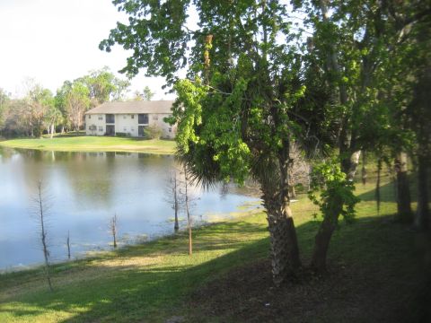 1986 Ford Bronco - A tranquil scene of an apartment building across a calm lake, surrounded by lush greenery and trees.