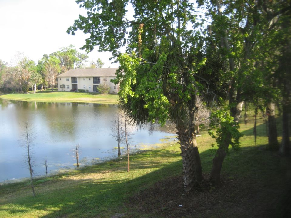 Apartment building reflected in a lake with trees in the foreground