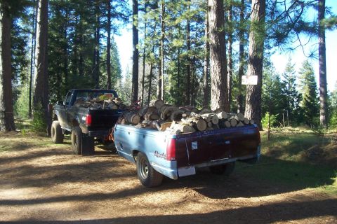 1994 Ford F-150 - Two pickup trucks are loaded with firewood in a forest setting.