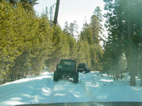 1986 Ford Bronco - Two trucks navigate a snowy path in a dense forest.