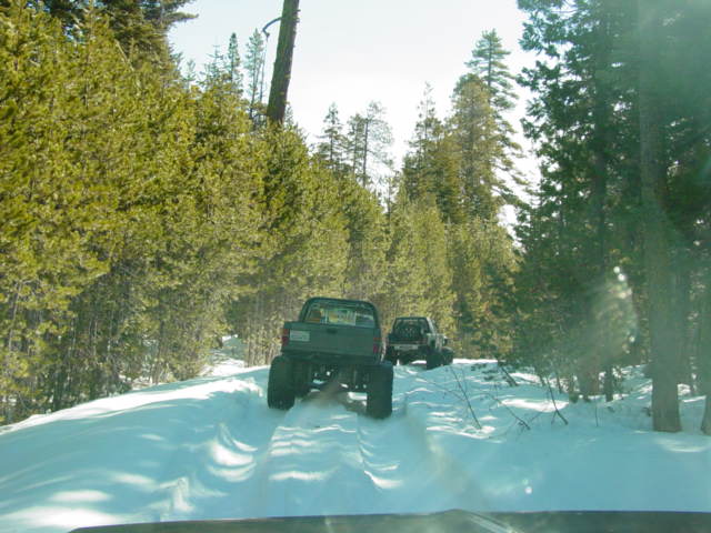 Two trucks drive on a snow-covered road through a pine forest