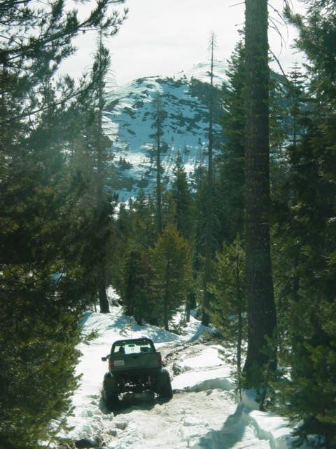 1986 Ford Bronco - A green SUV navigates a snow-covered path through a dense forest with a mountain in the background.