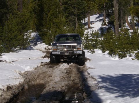 1986 Ford Bronco - A lifted Ford Bronco navigates a challenging snowy and muddy path surrounded by pine trees.