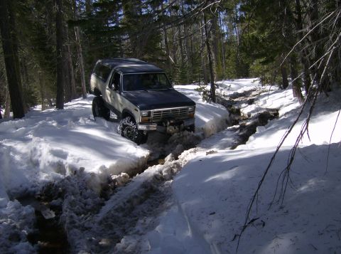 1986 Ford Bronco - Ford Bronco navigates a challenging snowy path in a wooded area.