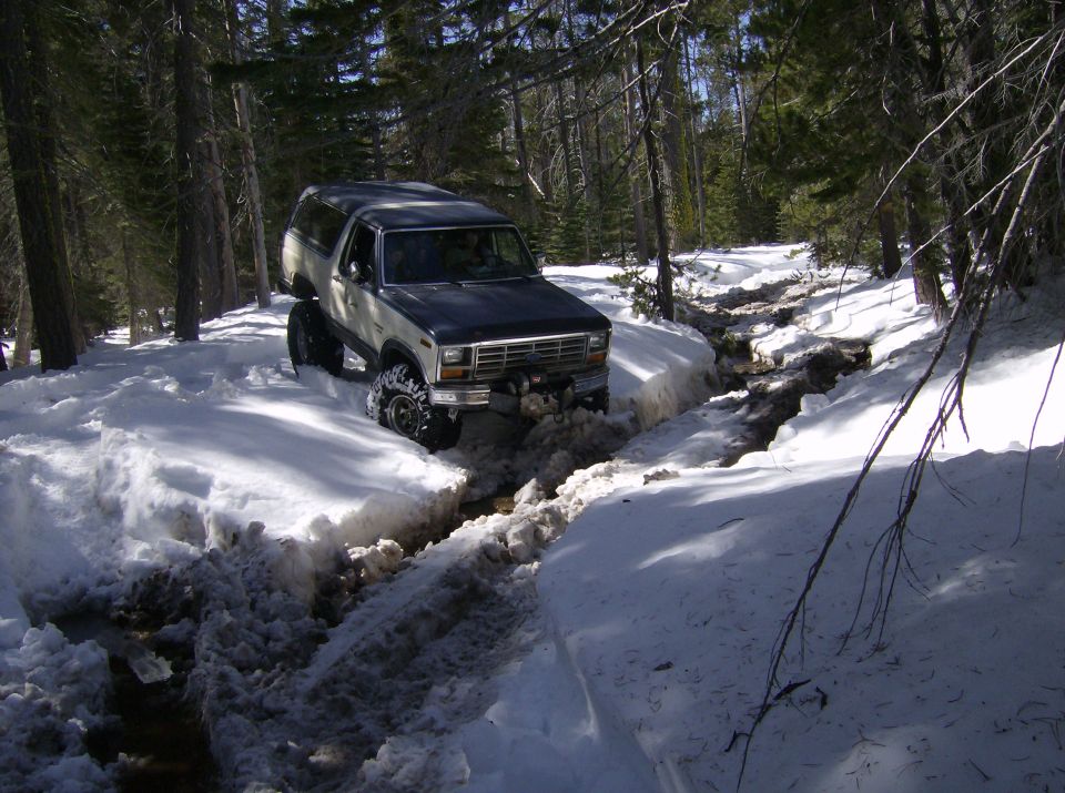 1986 Ford Bronco driving through a snowy forest trail