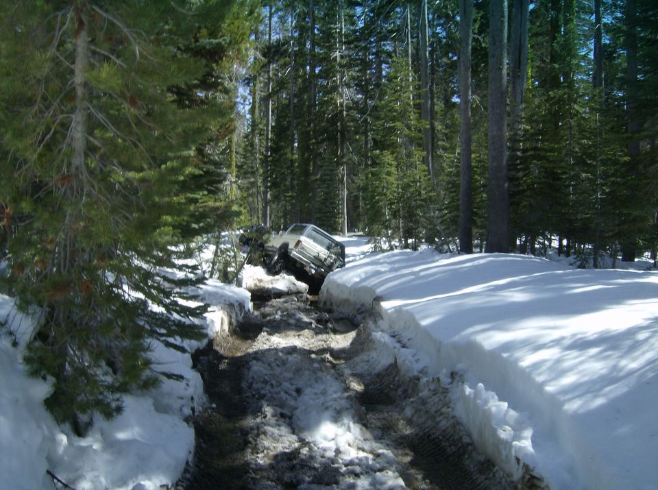 White SUV stuck in a snowy ditch on a wooded road