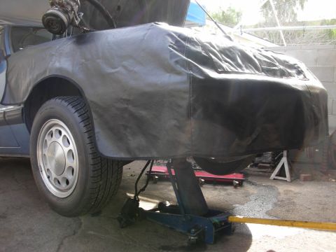 1990 Ford Mustang - A car is raised on jack stands with its front end covered by a black tarp, revealing engine components.