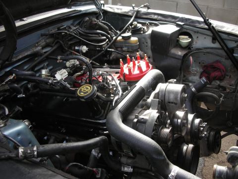 1990 Ford Mustang - Close-up of an engine bay a red distributor cap and a black oil cap with the Ford logo.