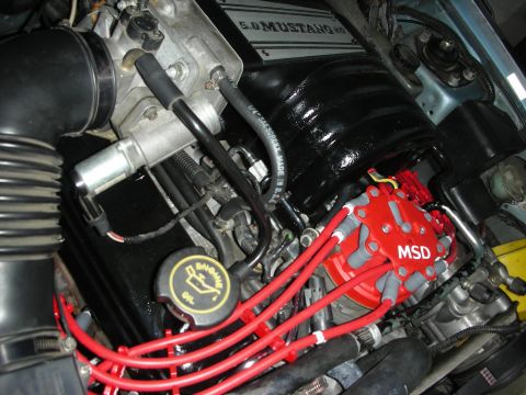 1990 Ford Mustang - Close-up of a 1990 Ford Mustang engine bay, a 5.0 HO engine cover and an MSD ignition system.