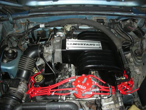 1990 Ford Mustang - Engine bay of a 1990 Ford Mustang, a 5.0 HO intake and MSD ignition components.