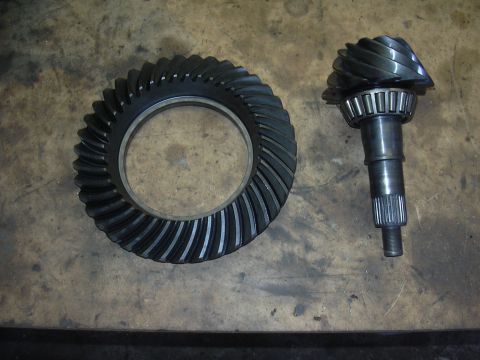 1996 Ford Crown Victoria - Differential ring and pinion gears are shown laid out on a workbench.