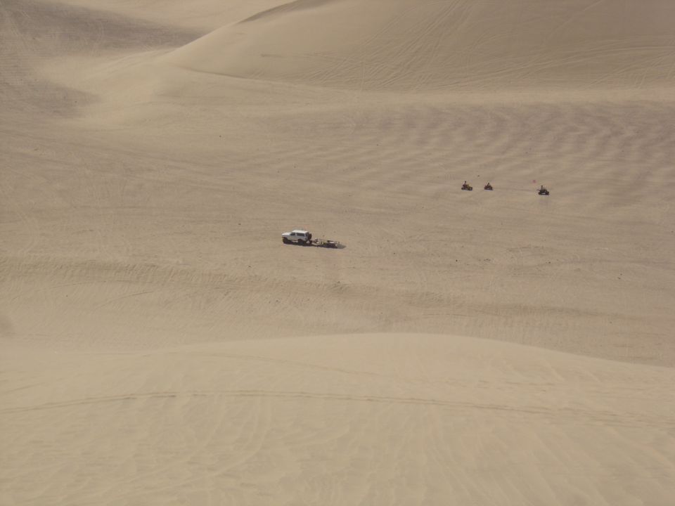 Distant white SUV with trailer and three quads riding across vast sand dunes