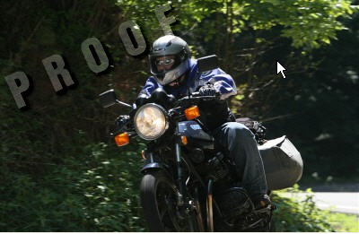 1985 Ford LTD Crown Victoria - A rider on a motorcycle navigates a tree-lined road, with a 'PROOF' watermark across the image.