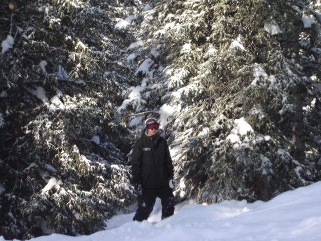 Snowy forest scene with a person in winter clothing