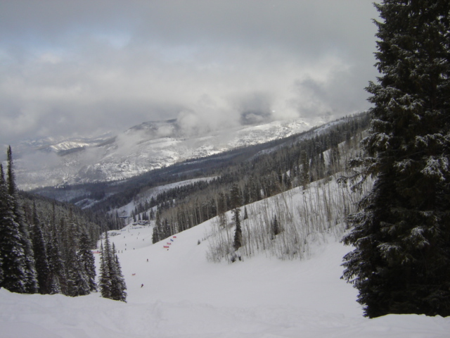 Snowy mountain ski slope with trees and skiers, cloudy sky