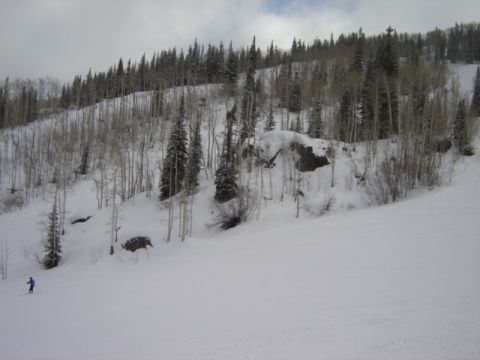 1992 Ford Bronco - A skier navigates a snow-covered mountain slope surrounded by trees under an overcast sky.
