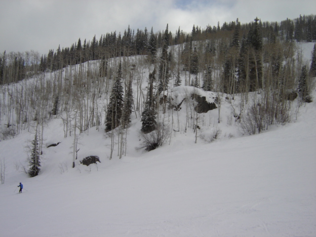 Snowy mountain slope with trees and a lone skier