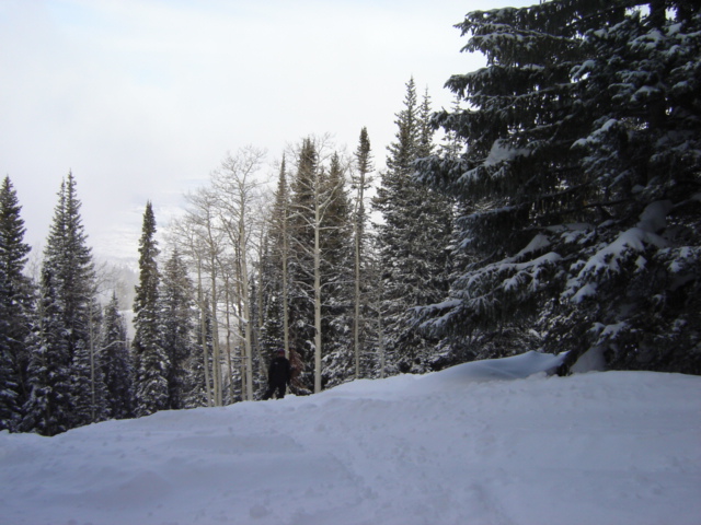 Snowy mountain scene with pine and aspen trees, a person in the distance, and a watermark at the bottom