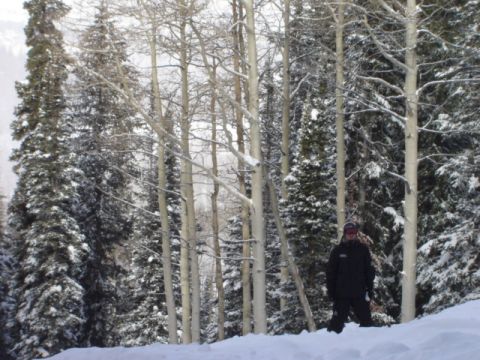 1992 Ford Bronco - A person stands in a snow-covered forest, surrounded by aspen and pine trees.