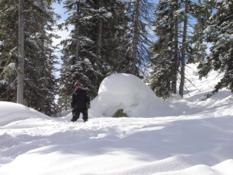 1992 Ford Bronco - Winter scene with a person and a snow structure surrounded by snow-covered trees.