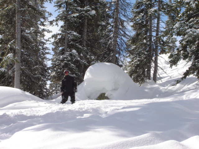 Person in winter clothing stands in deep snow next to a large, rounded snow structure. Tall pine trees covered in snow surround the area