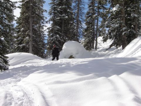1992 Ford Bronco - A person stands in a snowy forest clearing next to a large snow formation.