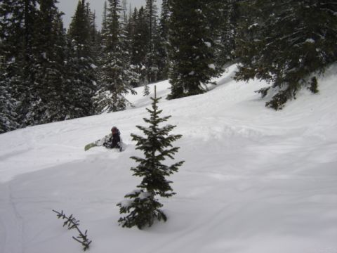 1992 Ford Bronco - A snowboarder rests in the snow amidst a forest of pine trees.