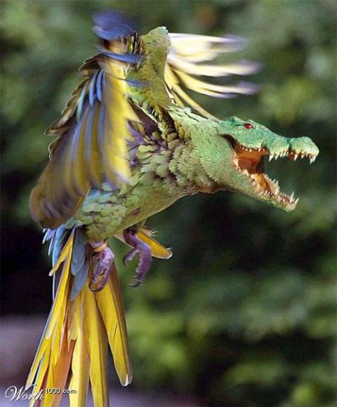 2003 Jeep TJ - A fantastical creature, appearing to be a hybrid of an alligator and a parrot, is captured mid-flight with its wings spread.