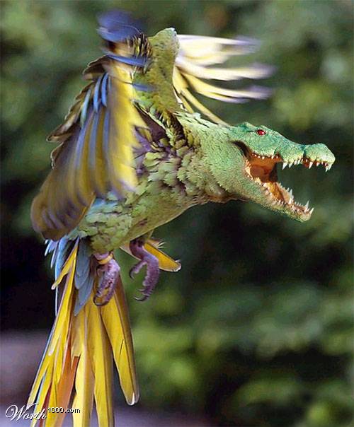 Composite creature with alligator head and parrot body in flight