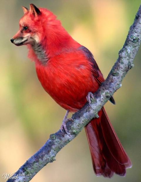 2003 Jeep TJ - A bizarre creature with a fox's head and a bird's body sits on a tree branch.