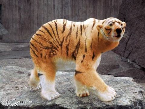 2003 Jeep TJ - A bizarre hybrid creature, resembling a tiger with bear-like features, stands on a rocky surface.
