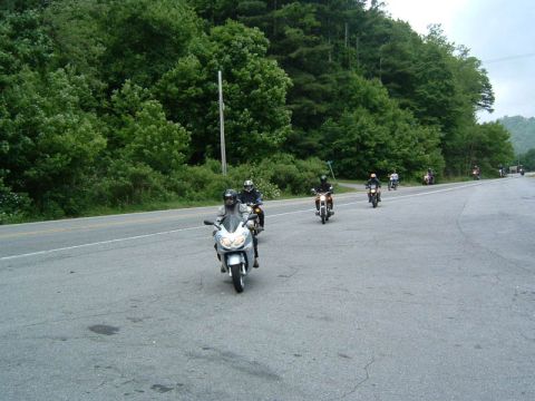 1985 Ford LTD Crown Victoria - A group of motorcycles rides down a highway surrounded by lush green trees.