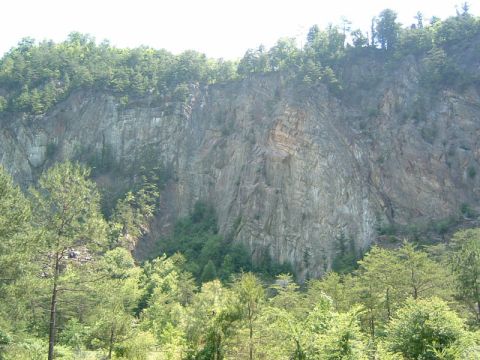 1985 Ford LTD Crown Victoria - A large, layered rock formation is visible behind a dense forest of trees.