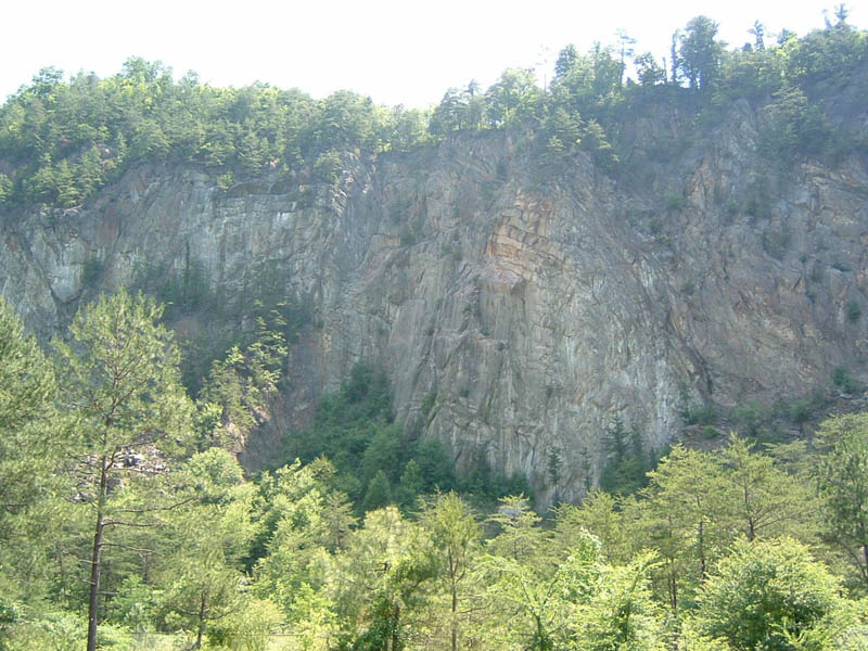 Large rock face with trees growing on it and in front